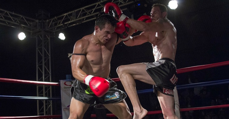 Best Muay Thai Gloves Reviews Best Muay Thai Gloves Reviews