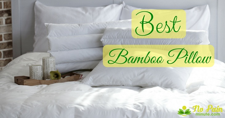 Best Bamboo Pillow reviews Best Bamboo Pillow reviews