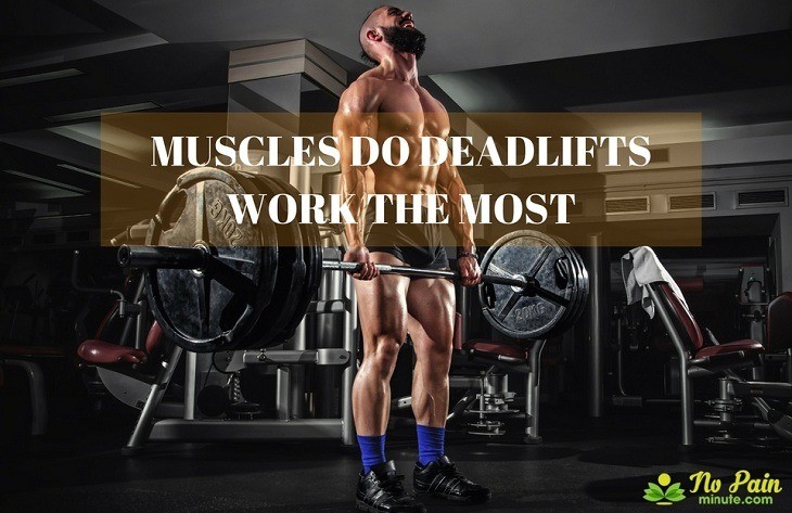 What Muscles Do Deadlifts Work The Most?