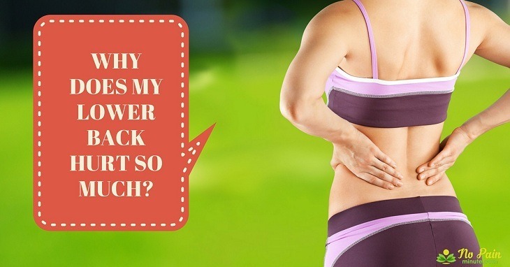 why-does-my-lower-back-hurt-so-much-what-i-can-do-now-healthier-land