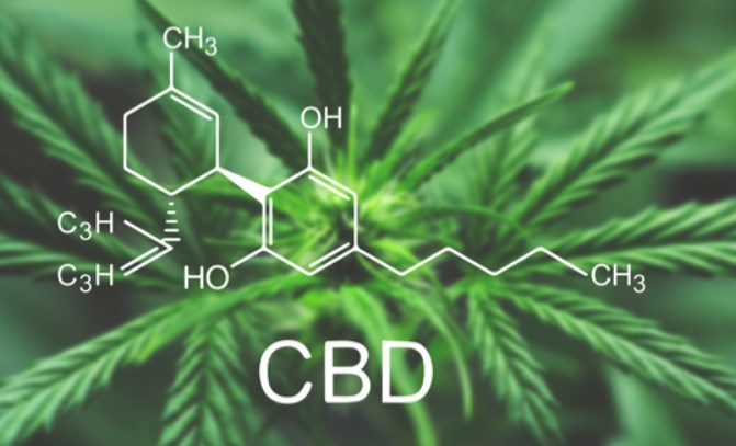 cbd oil